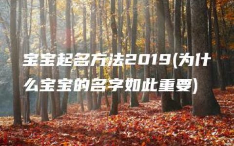 宝宝起名方法2019(为什么宝宝的名字如此重要)