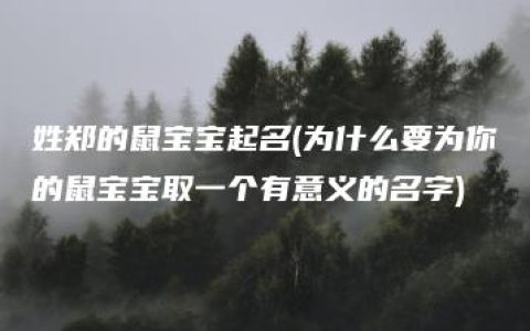 姓郑的鼠宝宝起名(为什么要为你的鼠宝宝取一个有意义的名字)