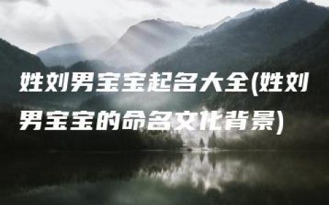 姓刘男宝宝起名大全(姓刘男宝宝的命名文化背景)