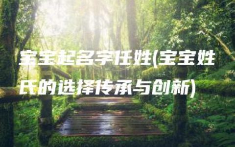 宝宝起名字任姓(宝宝姓氏的选择传承与创新)