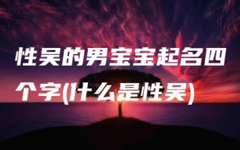 性吴的男宝宝起名四个字(什么是性吴)