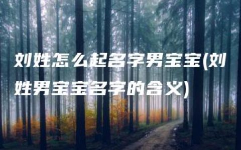 刘姓怎么起名字男宝宝(刘姓男宝宝名字的含义)