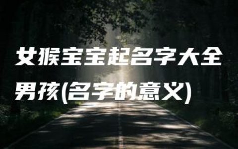 女猴宝宝起名字大全男孩(名字的意义)