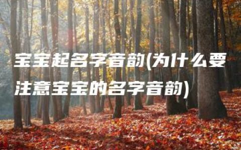 宝宝起名字音韵(为什么要注意宝宝的名字音韵)