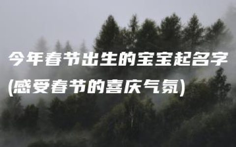 今年春节出生的宝宝起名字(感受春节的喜庆气氛)