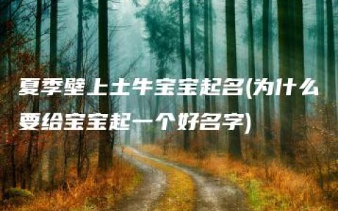 夏季壁上土牛宝宝起名(为什么要给宝宝起一个好名字)