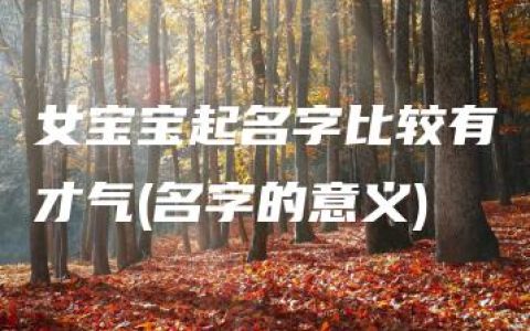 女宝宝起名字比较有才气(名字的意义)