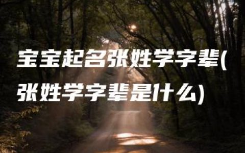 宝宝起名张姓学字辈(张姓学字辈是什么)