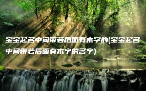 宝宝起名中间带若后面有木字的(宝宝起名中间带若后面有木字的名字)