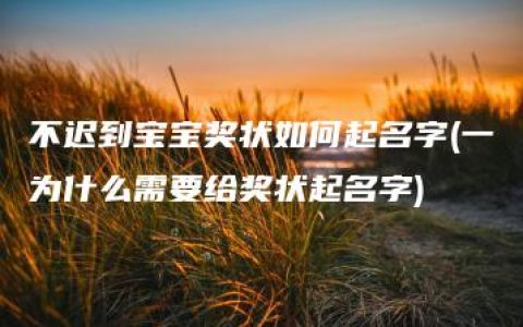 不迟到宝宝奖状如何起名字(一为什么需要给奖状起名字)