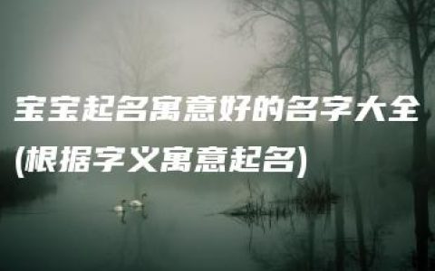 宝宝起名寓意好的名字大全(根据字义寓意起名)