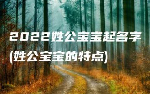 2022姓公宝宝起名字(姓公宝宝的特点)