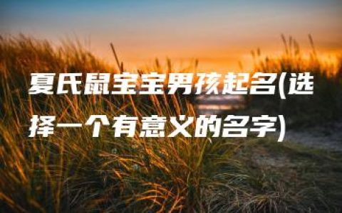 夏氏鼠宝宝男孩起名(选择一个有意义的名字)