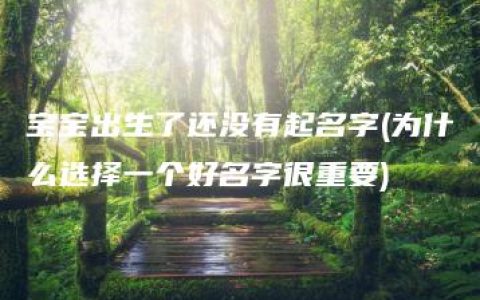 宝宝出生了还没有起名字(为什么选择一个好名字很重要)