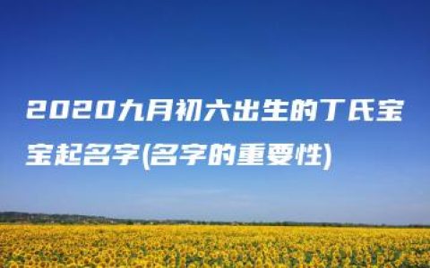 2020九月初六出生的丁氏宝宝起名字(名字的重要性)