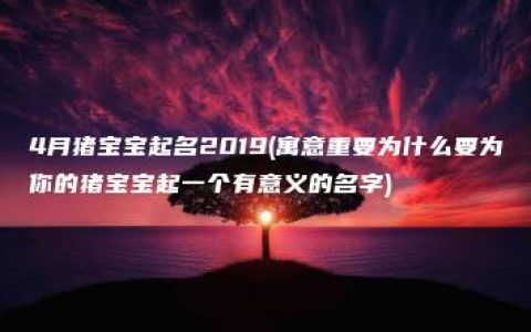 4月猪宝宝起名2019(寓意重要为什么要为你的猪宝宝起一个有意义的名字)