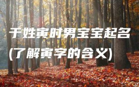 于姓寅时男宝宝起名(了解寅字的含义)