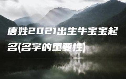 唐姓2021出生牛宝宝起名(名字的重要性)