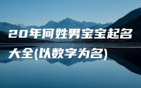 20年何姓男宝宝起名大全(以数字为名)