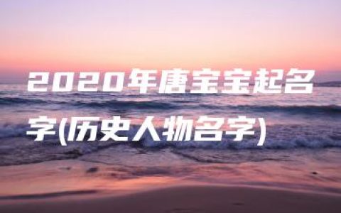 2020年唐宝宝起名字(历史人物名字)