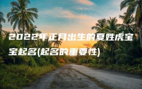 2022年正月出生的夏姓虎宝宝起名(起名的重要性)