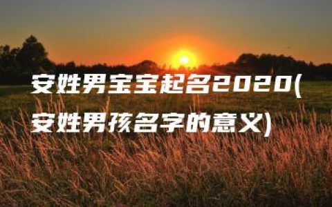 安姓男宝宝起名2020(安姓男孩名字的意义)