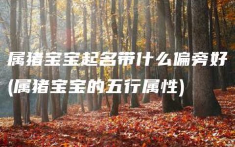 属猪宝宝起名带什么偏旁好(属猪宝宝的五行属性)