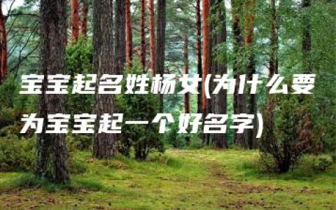 宝宝起名姓杨女(为什么要为宝宝起一个好名字)