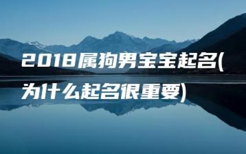 2018属狗男宝宝起名(为什么起名很重要)