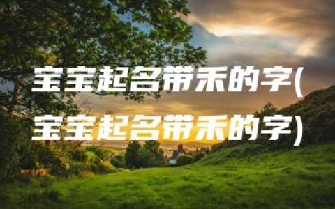 宝宝起名带禾的字(宝宝起名带禾的字)