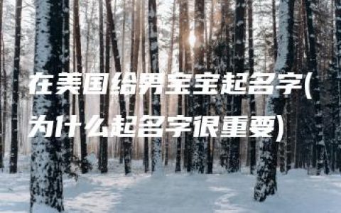 在美国给男宝宝起名字(为什么起名字很重要)