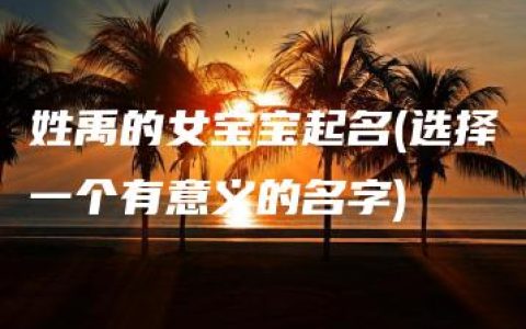 姓禹的女宝宝起名(选择一个有意义的名字)