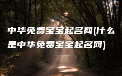 中华免费宝宝起名网(什么是中华免费宝宝起名网)