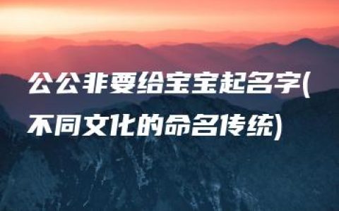 公公非要给宝宝起名字(不同文化的命名传统)