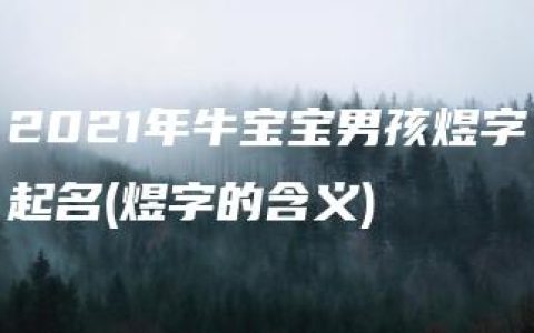 2021年牛宝宝男孩煜字起名(煜字的含义)