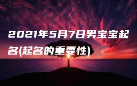 2021年5月7日男宝宝起名(起名的重要性)