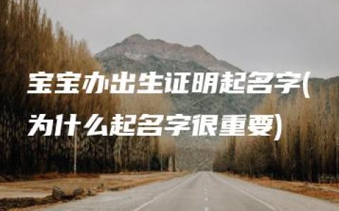 宝宝办出生证明起名字(为什么起名字很重要)