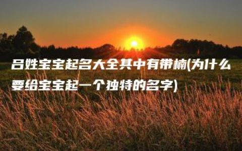 吕姓宝宝起名大全其中有带楠(为什么要给宝宝起一个独特的名字)