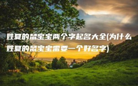 姓夏的鼠宝宝两个字起名大全(为什么姓夏的鼠宝宝需要一个好名字)