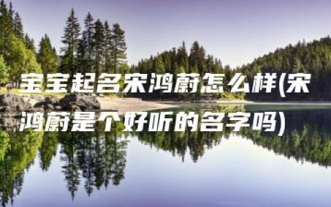 宝宝起名宋鸿蔚怎么样(宋鸿蔚是个好听的名字吗)