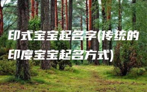 印式宝宝起名字(传统的印度宝宝起名方式)