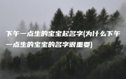 下午一点生的宝宝起名字(为什么下午一点生的宝宝的名字很重要)