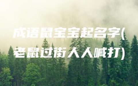 成语鼠宝宝起名字(老鼠过街人人喊打)