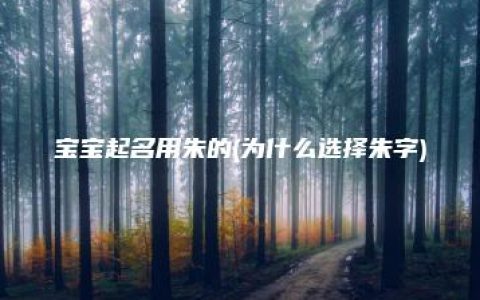 宝宝起名用朱的(为什么选择朱字)