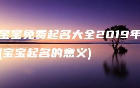 宝宝免费起名大全2019年(宝宝起名的意义)