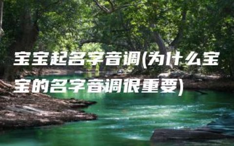 宝宝起名字音调(为什么宝宝的名字音调很重要)