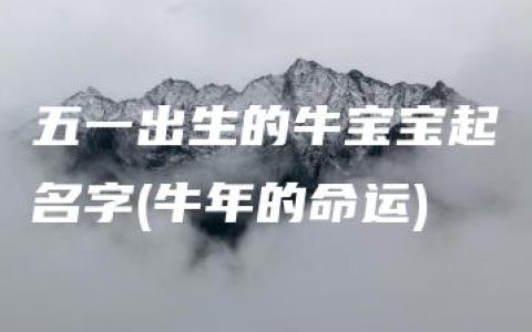 五一出生的牛宝宝起名字(牛年的命运)