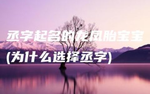 丞字起名的龙凤胎宝宝(为什么选择丞字)