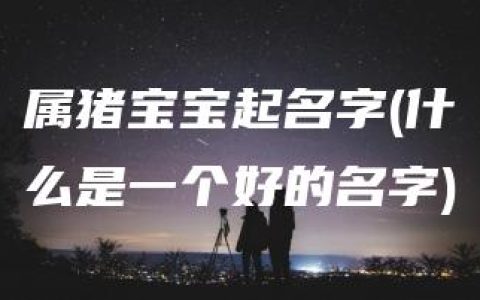 属猪宝宝起名字(什么是一个好的名字)