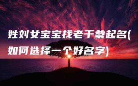 姓刘女宝宝找老干爹起名(如何选择一个好名字)